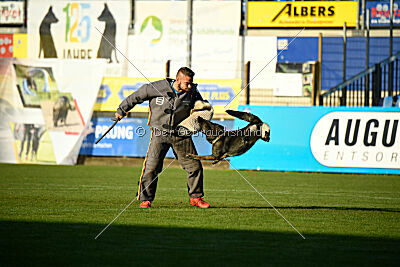 Qira van Arne`s Hoeve